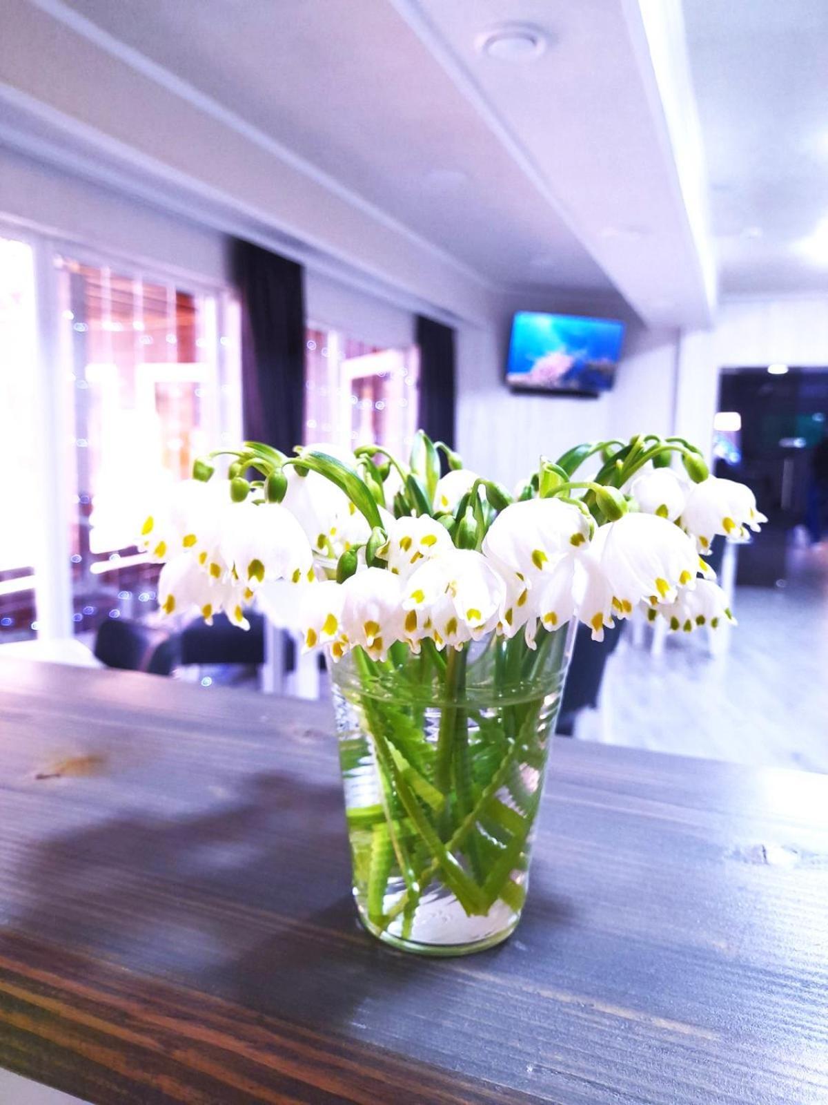 Four Seasons In Carpathians Hotel Myhove Eksteriør billede